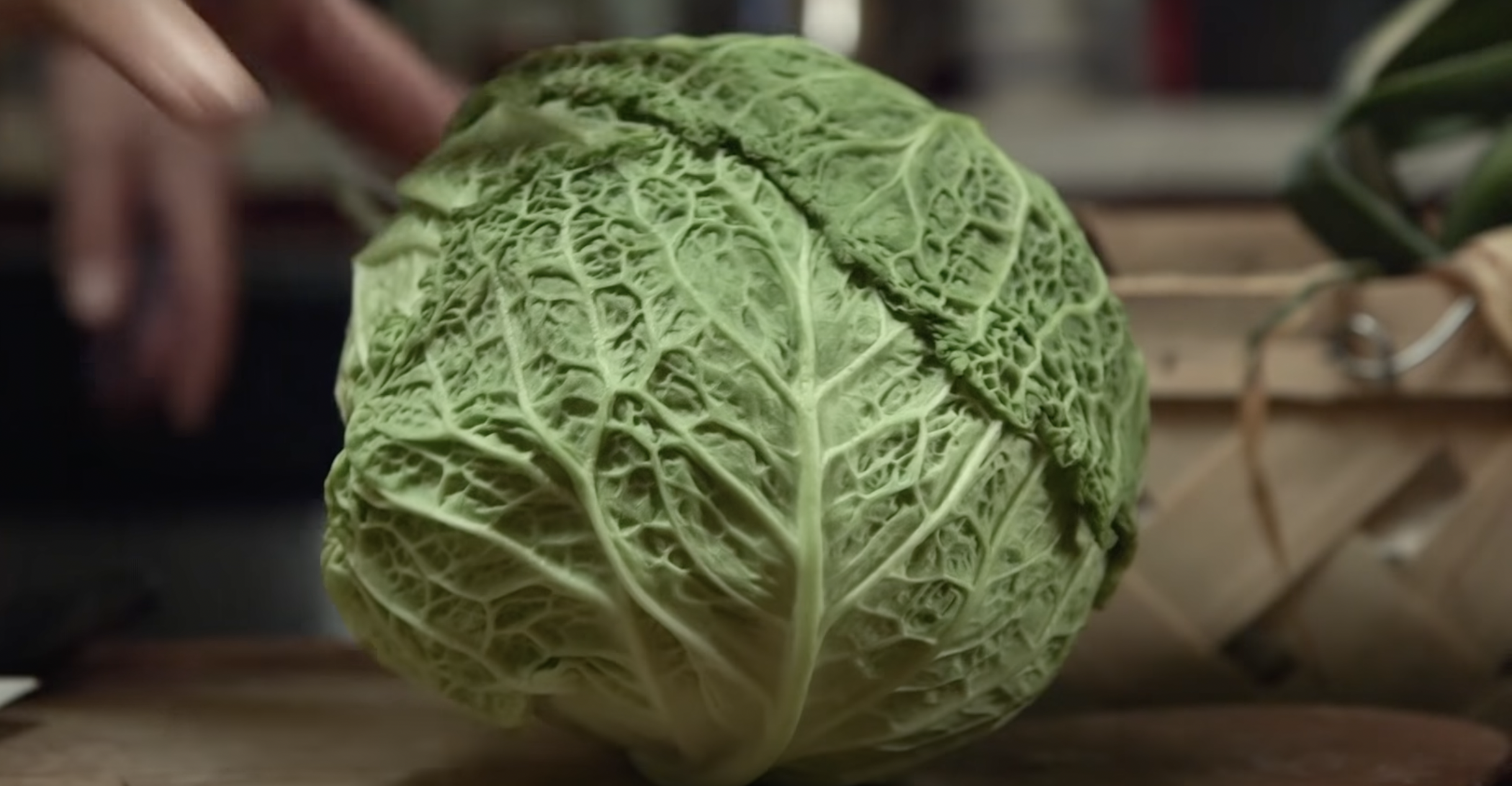 Sandorkraut: A Pickle Maker 