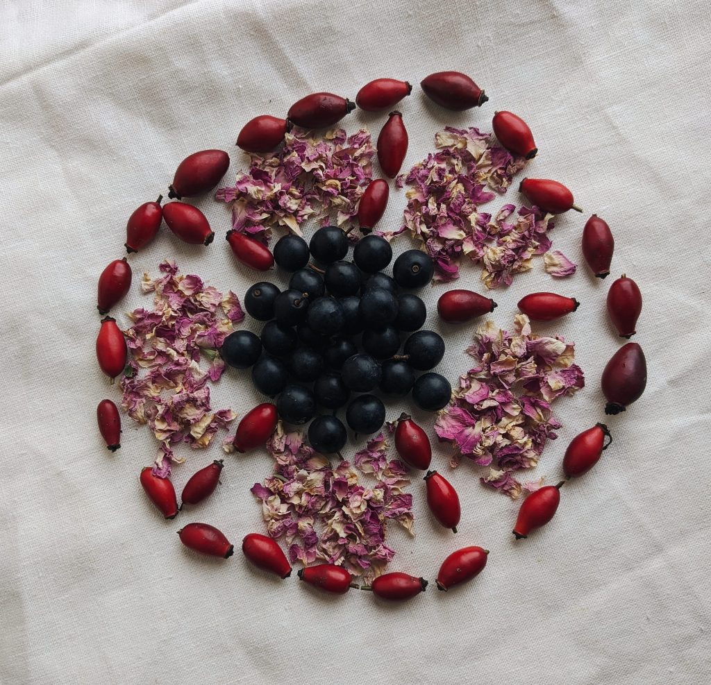 rosehip, rose and slow berry mandala