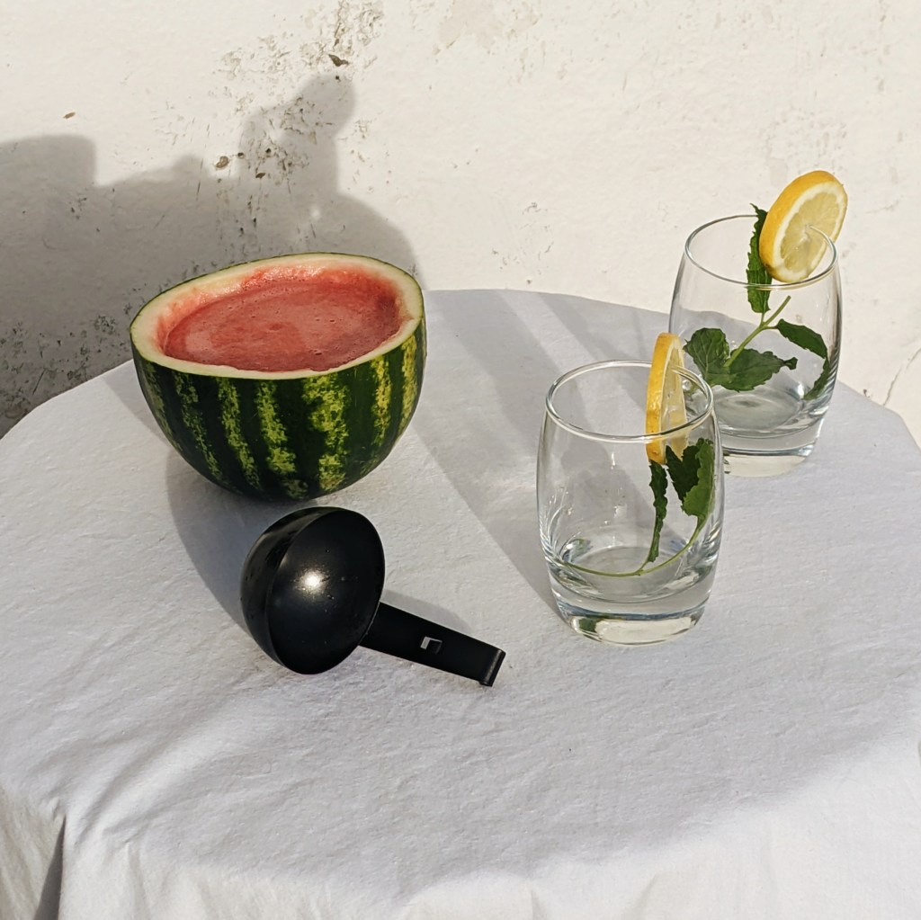 watermelon and kombucha coolers