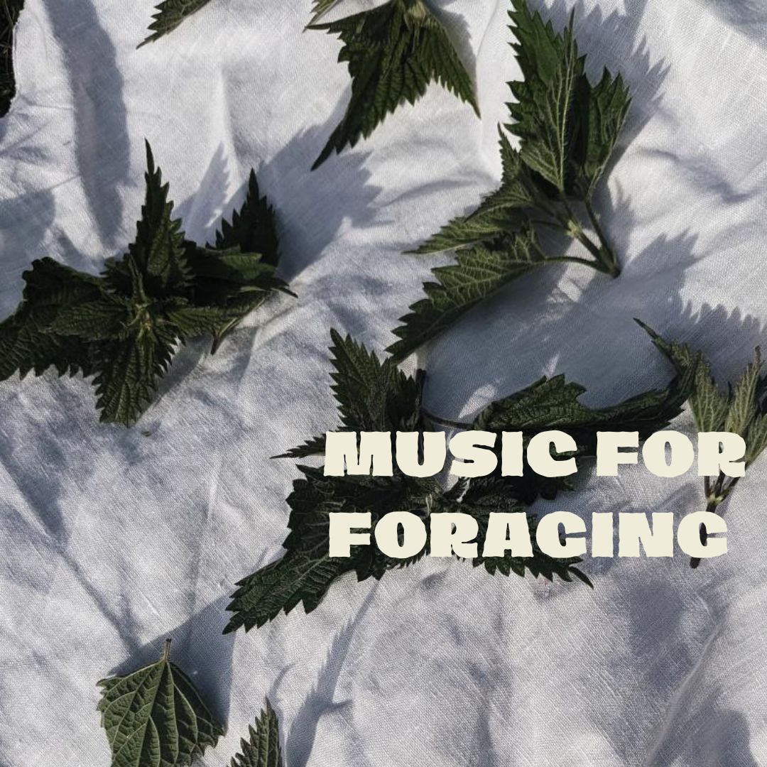 music for foraging playlist on spotify