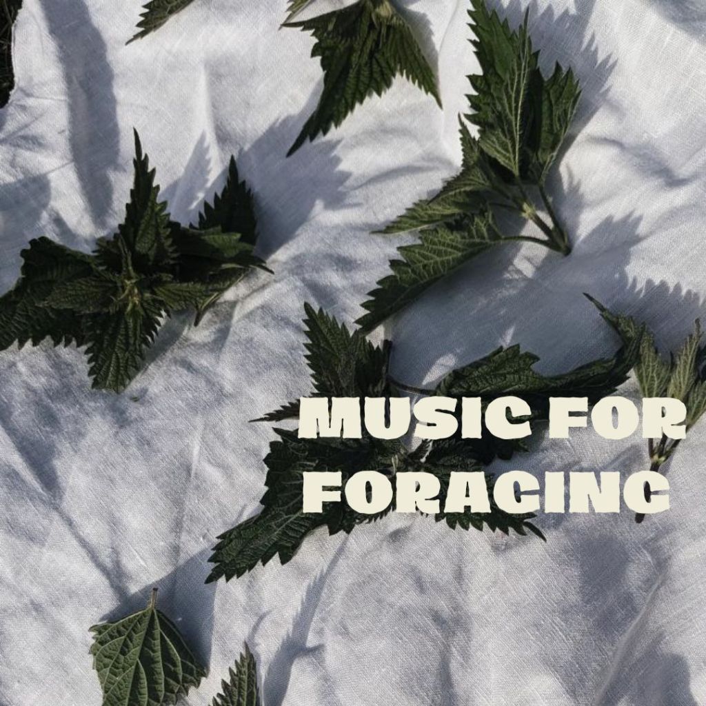 music for foraging playlist on spotify
